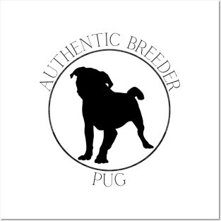 Authentic Breeder Pug Posters and Art